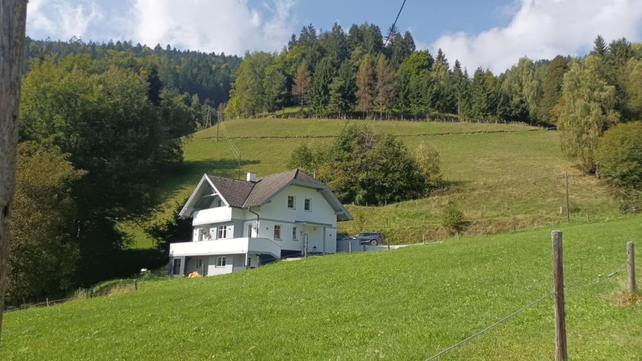 Aparts Lakeview -Gerlitzen -Ossiacher See -Ski Tratten  Zewnętrze zdjęcie